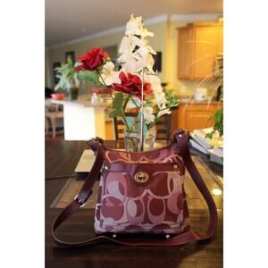 COACH -F17479 PENELOPE CROSSBODY BAG PURSE (150
